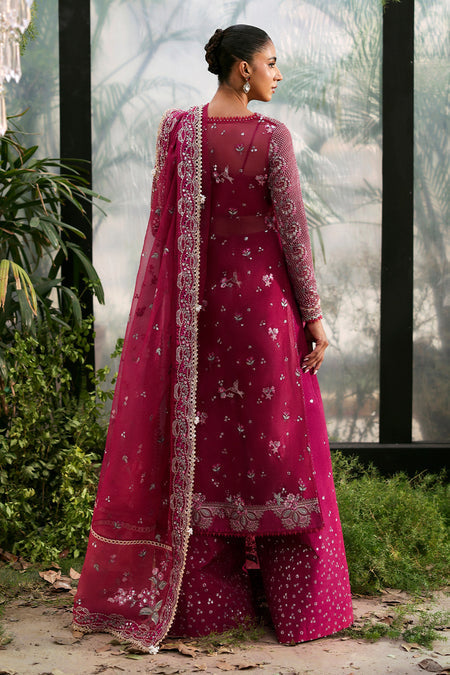 Afrozeh | La Fuschia 25 | Rowan