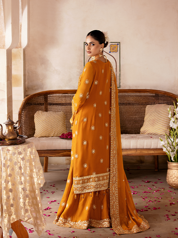 Zebtan | Zeenat Collection Vol 19 | ZN-09 - House of Zarish