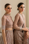 Iznik | Chinnon Chiffon | CC-43 Embroidered Net - House Of Anaya