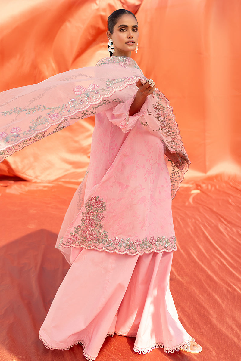 Cross Stitch | Eid Lawn 24 | CLUSTER GLOW - House Of Anaya