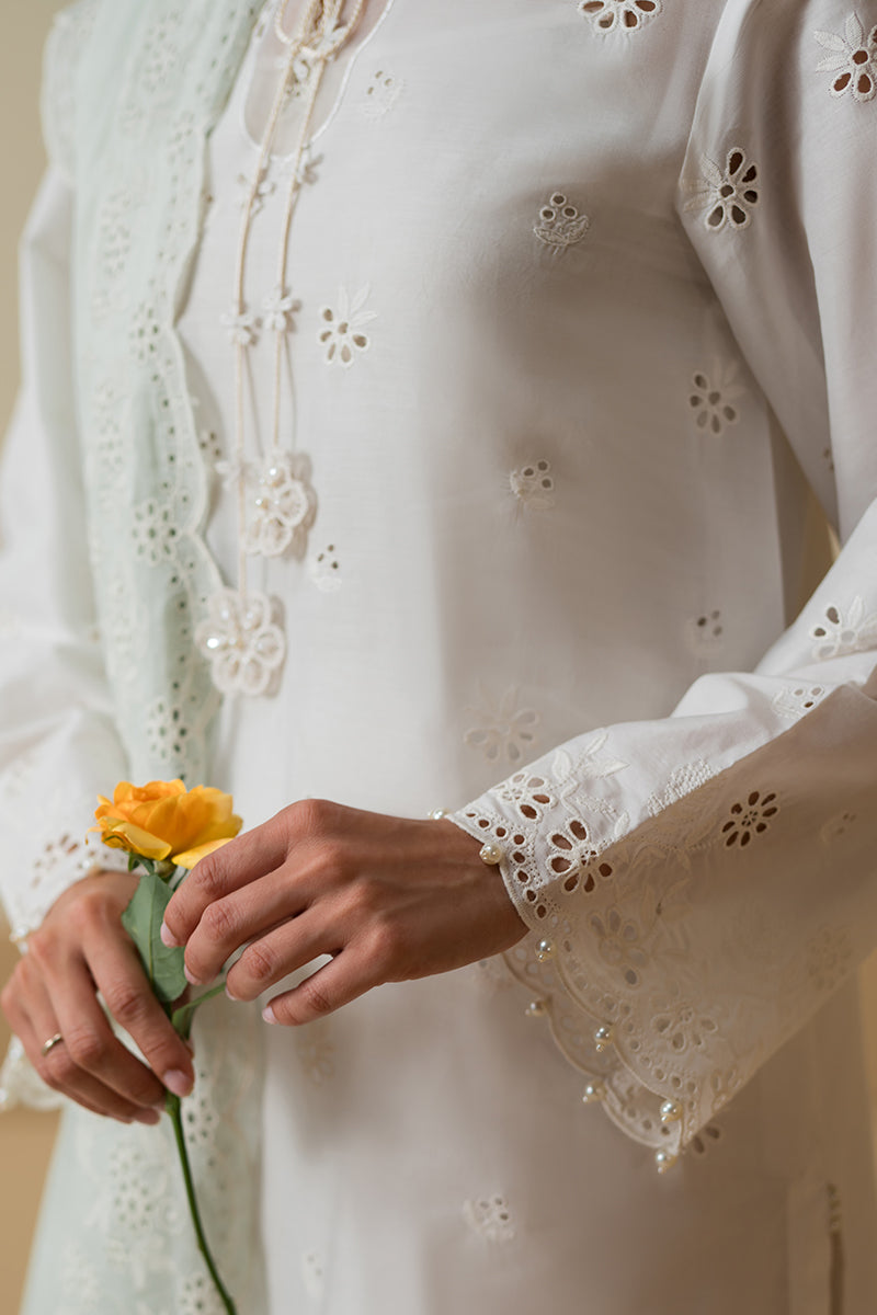 Cross Stitch | Chikankari Lawn Collection | P-06 - House Of Anaya