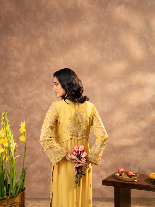 Zebtan | Zeenat Festive Collection | ZN-01 - House of Zarish