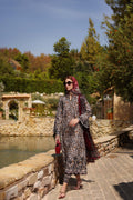 Noor by Saadia Asad | Luxe Chikankari 25 | D2-B - House Of Anaya