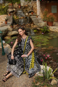 Noor by Saadia Asad | Luxe Chikankari 25 | D3-B - House Of Anaya