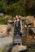 Noor by Saadia Asad | Luxe Chikankari 25 | D3-B - House Of Anaya