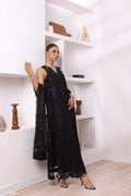 Noor by Saadia Asad | Noor Chiffon De Luxe | D4 - House Of Anaya