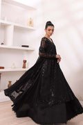 Noor by Saadia Asad | Noor Chiffon De Luxe | D4 - House Of Anaya