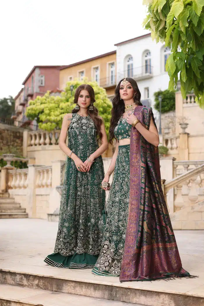 Noor by Saadia Asad | Kaani Wedding Formals 23 | D1 - House Of Anaya