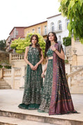 Noor by Saadia Asad | Kaani Wedding Formals 23 | D1 - House Of Anaya
