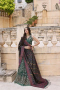 Noor by Saadia Asad | Kaani Wedding Formals 23 | D1 - House Of Anaya
