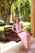 Noor by Saadia Asad | Eid Luxe Printkari 24 | D1 - House Of Anaya