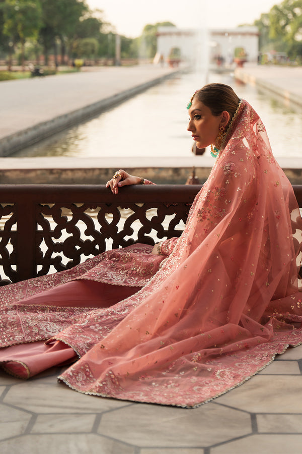 Ayzel | Pehli Nazar Wedding Formals | RUKHSAR - House Of Anaya