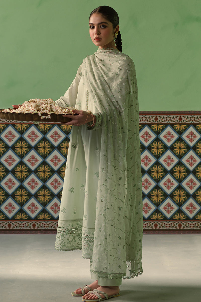 Cross Stitch | Chikankari Lawn Collection | P-01 - House Of Anaya