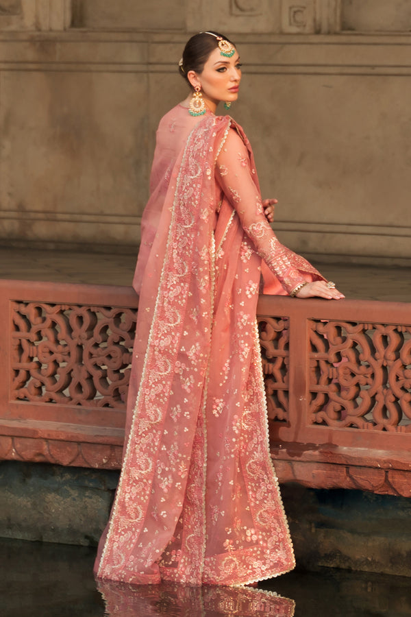 Ayzel | Pehli Nazar Wedding Formals | RUKHSAR - House Of Anaya