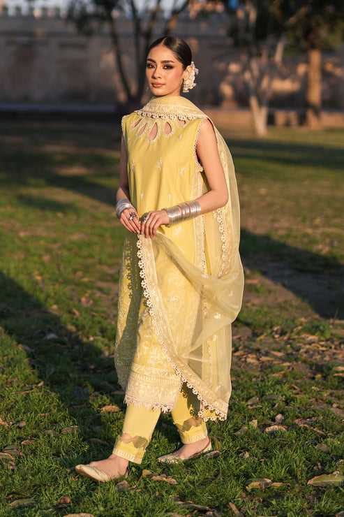 Zarposh | Shalamar Lawn | Heer - House Of Anaya
