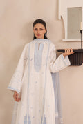 Afrozeh | Muted Muse '26 | Pearl - Image 4