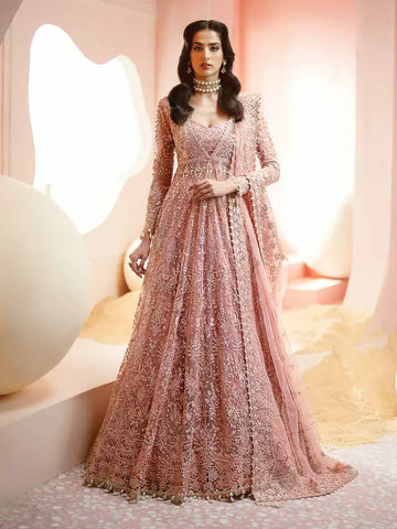 Ayzel Luminara Embroidered Net 3Pc Suit AWF-05 EARL