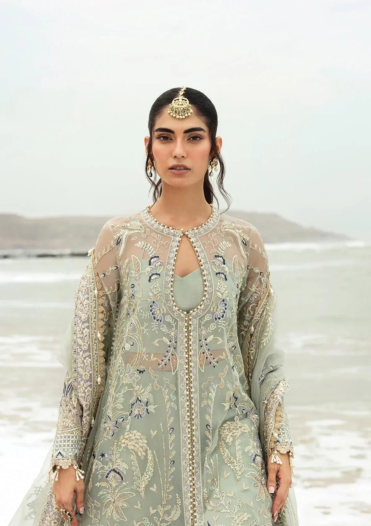 Afrozeh | Dastangoi Wedding Formal'24 | AWE-08 SHANZAY - House Of Anaya