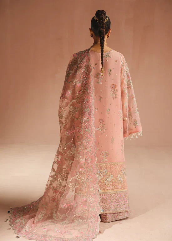 Ali Xeeshan | Prime Time Formals | Aarohi - House Of Anaya