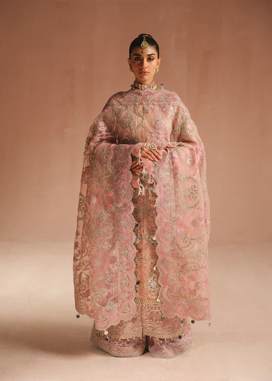 Ali Xeeshan | Prime Time Formals | Aarohi - House Of Anaya