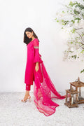 Anam Akhlaq | Festive Collection | D-16 - House of Zarish
