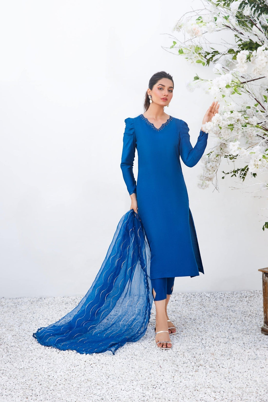 Anam Akhlaq | Festive Collection | D-17 - House of Zarish