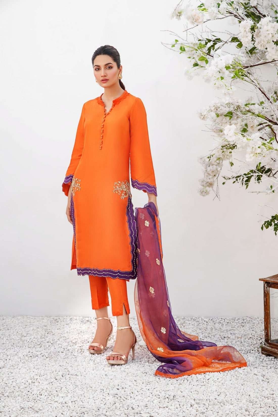 Anam Akhlaq | Festive Collection | D-19 - House of Zarish
