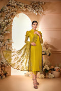Anam Akhlaq | Festive Collection | D-34 - House of Zarish