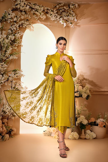 Anam Akhlaq | Festive Collection | D-34 - House of Zarish