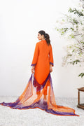 Anam Akhlaq | Festive Collection | D-19 - House of Zarish