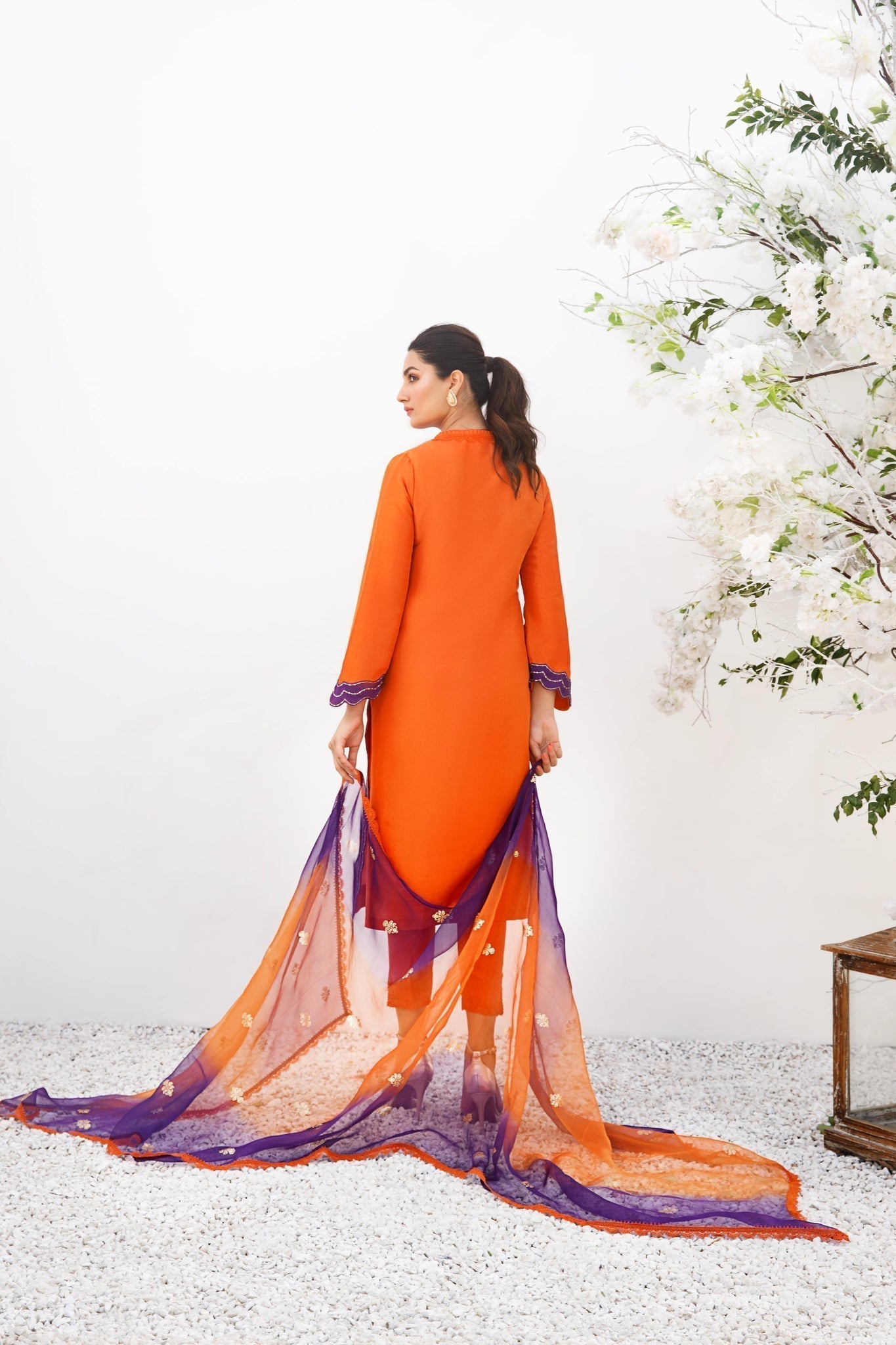 Anam Akhlaq | Festive Collection | D-19 - House of Zarish