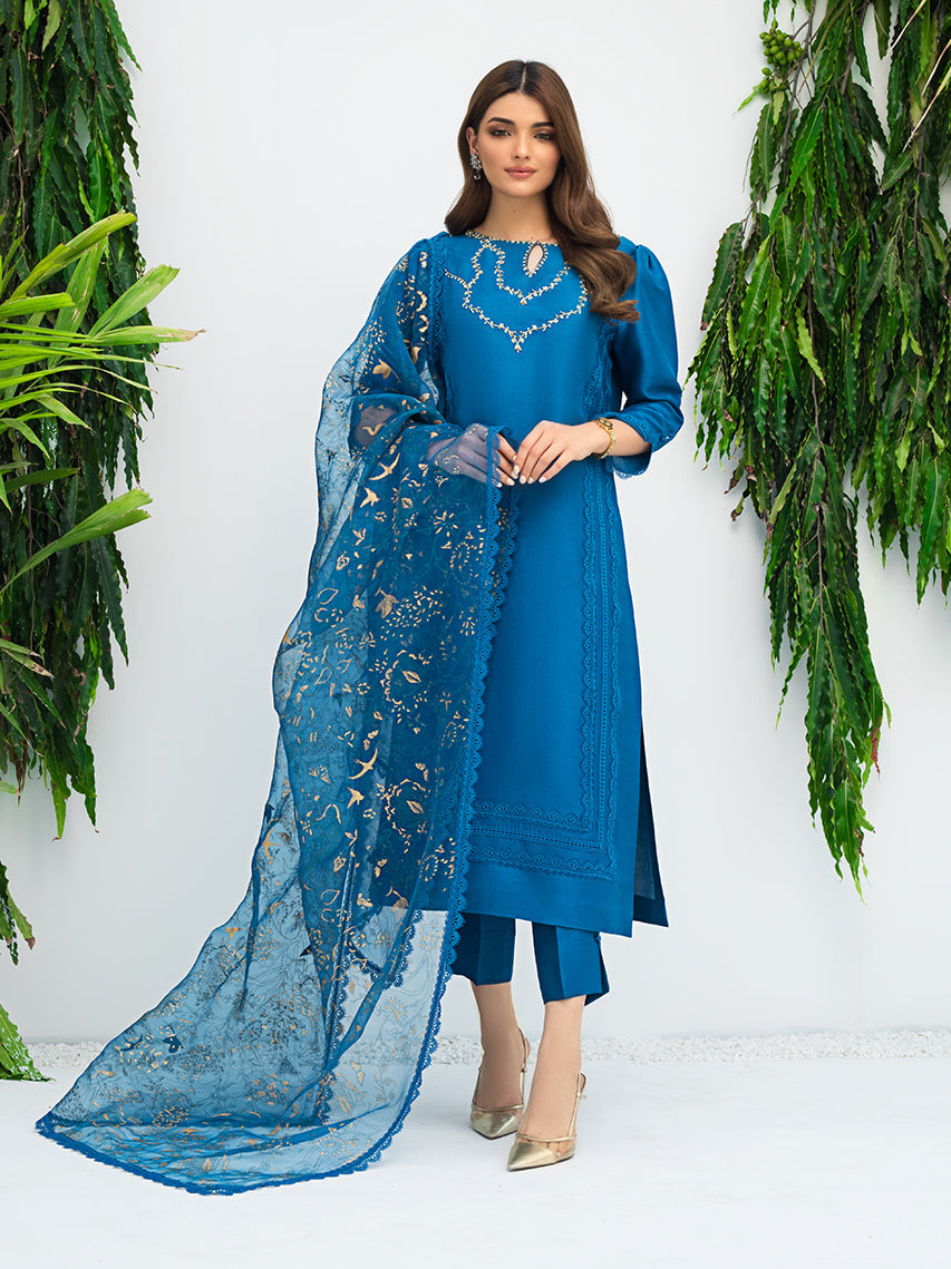 Anam Akhlaq | Festive Collection | D-07 - House of Zarish