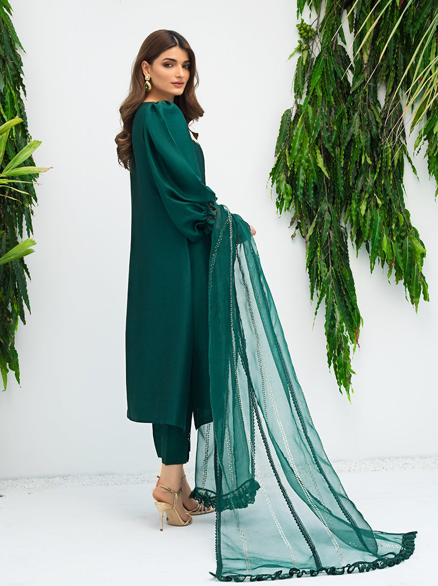 Anam Akhlaq | Festive Collection | D-08 - House of Zarish