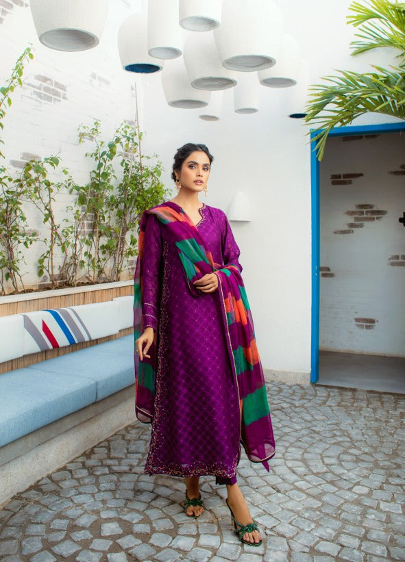 Anam Akhlaq | Festive Collection | D-14 - House of Zarish