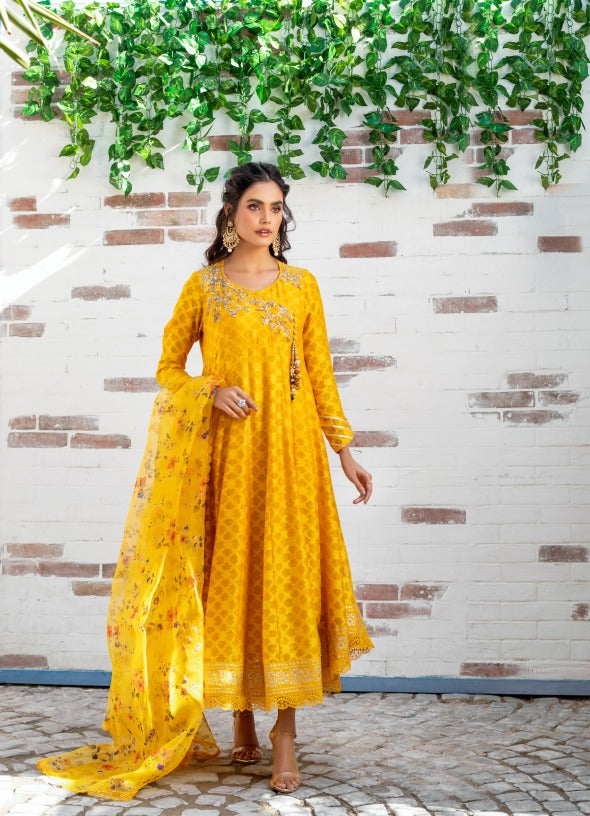 Anam Akhlaq | Festive Collection | D-12 - House of Zarish