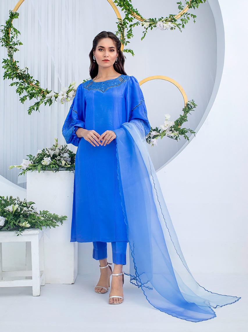 Anam Akhlaq | Festive Collection | D-02 - House of Zarish