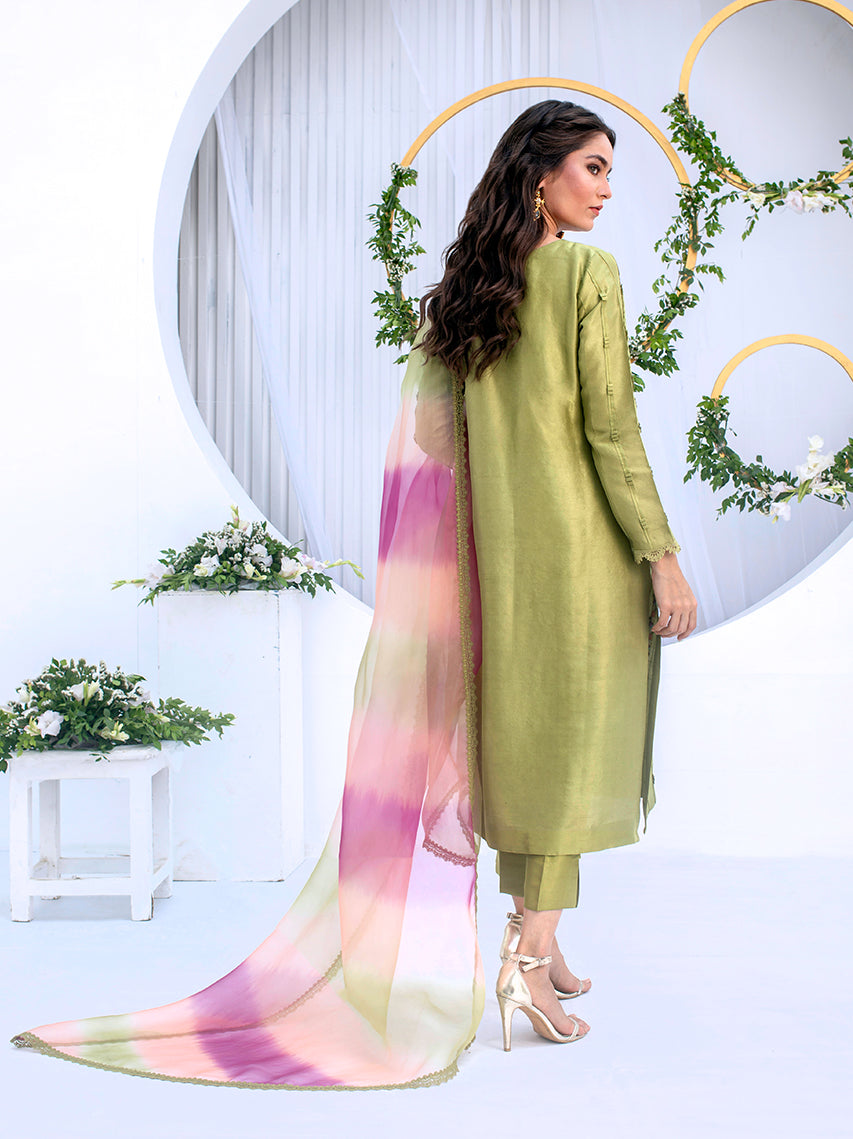 Anam Akhlaq | Festive Collection | D-04 - House of Zarish