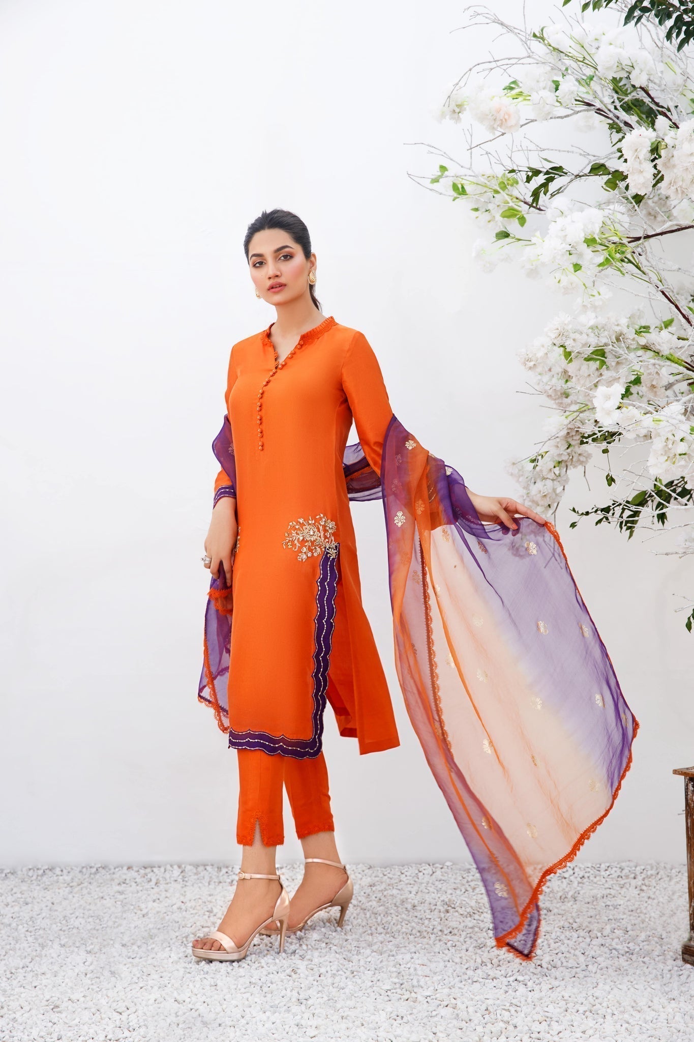 Anam Akhlaq | Festive Collection | D-19 - House of Zarish