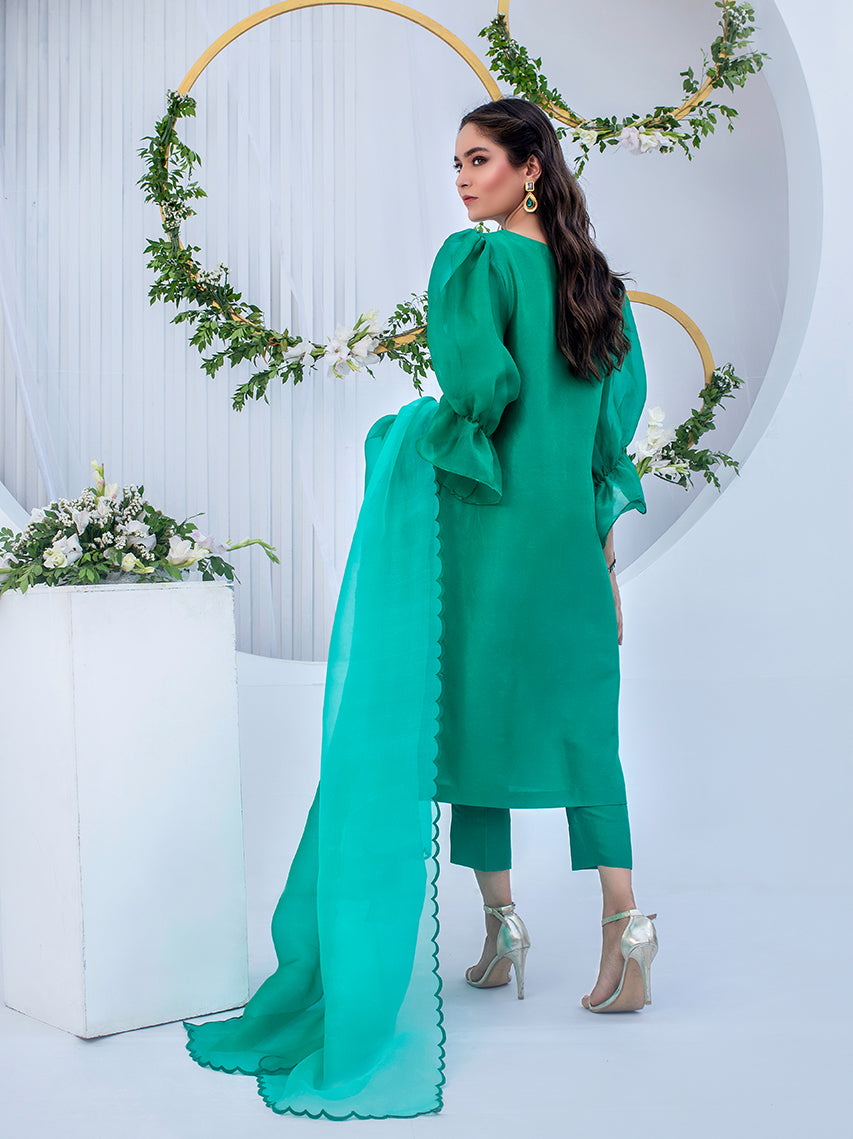 Anam Akhlaq | Festive Collection | D-05 - House of Zarish