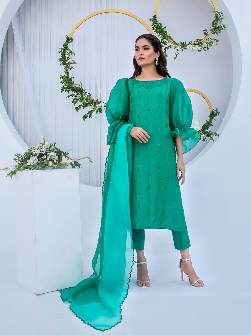 Anam Akhlaq | Festive Collection | D-05 - House of Zarish
