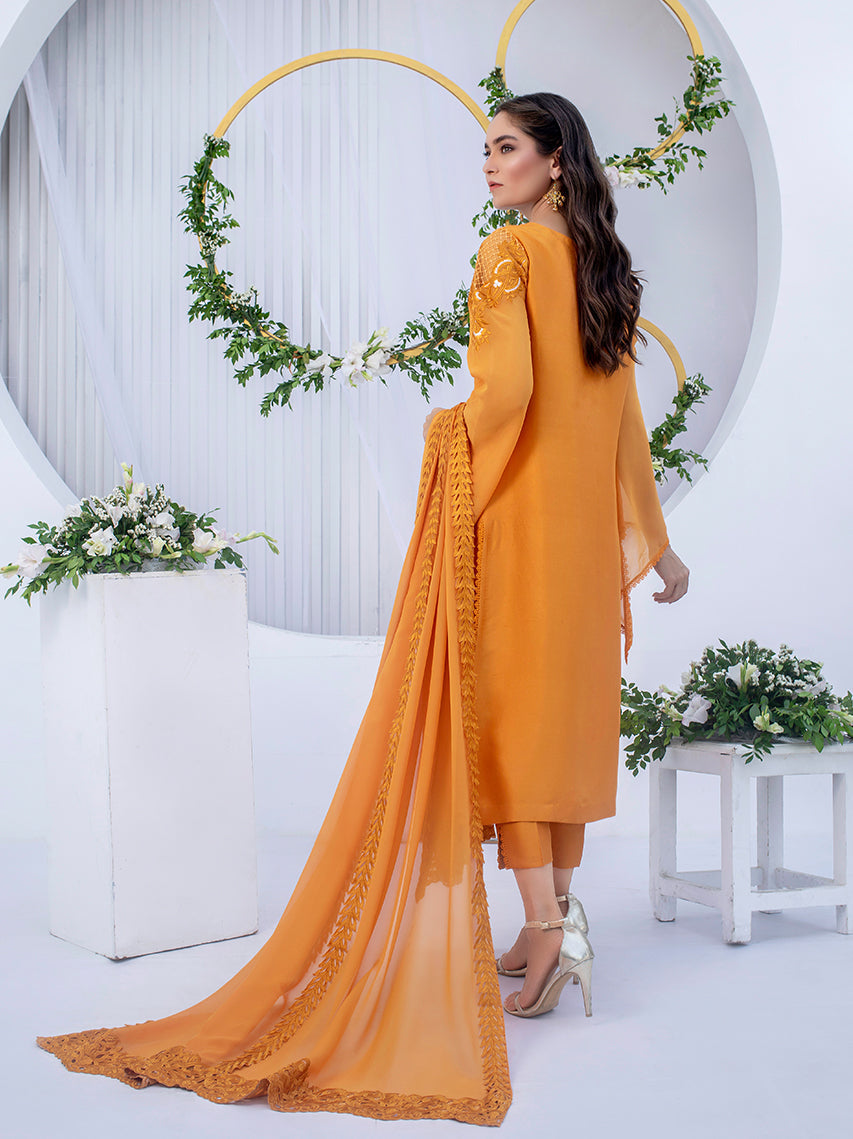 Anam Akhlaq | Festive Collection | D-03 - House of Zarish