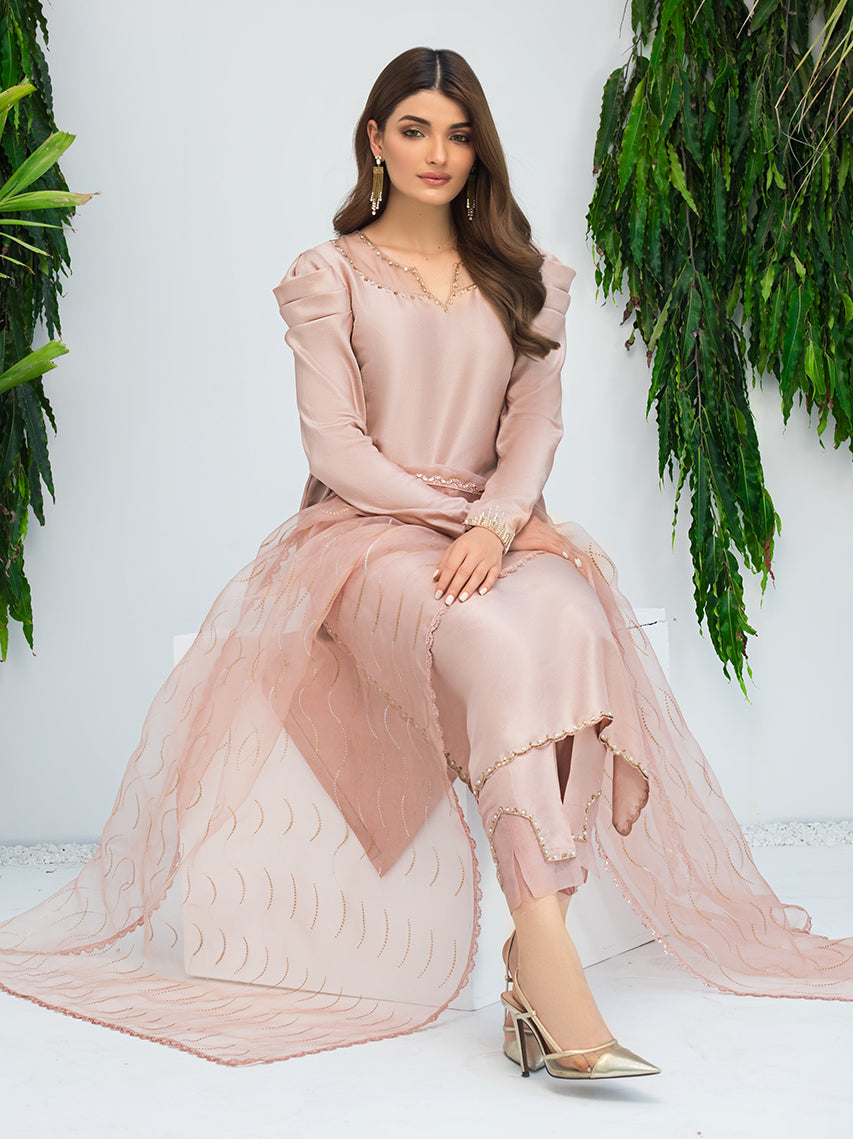 Anam Akhlaq | Festive Collection | D-09 - House of Zarish