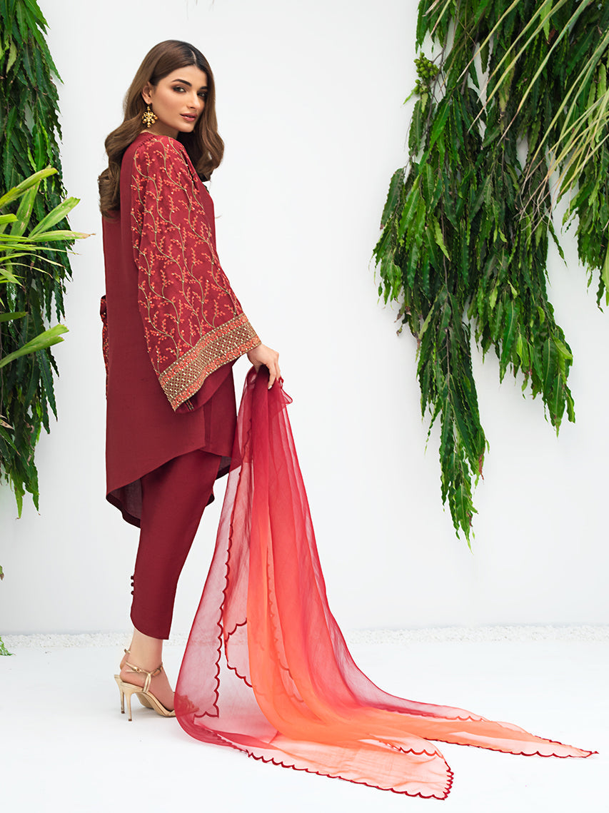 Anam Akhlaq | Festive Collection | D-06 - House Of Anaya