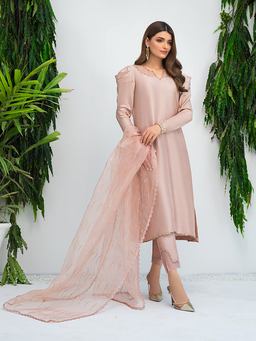 Anam Akhlaq | Festive Collection | D-09 - House of Zarish