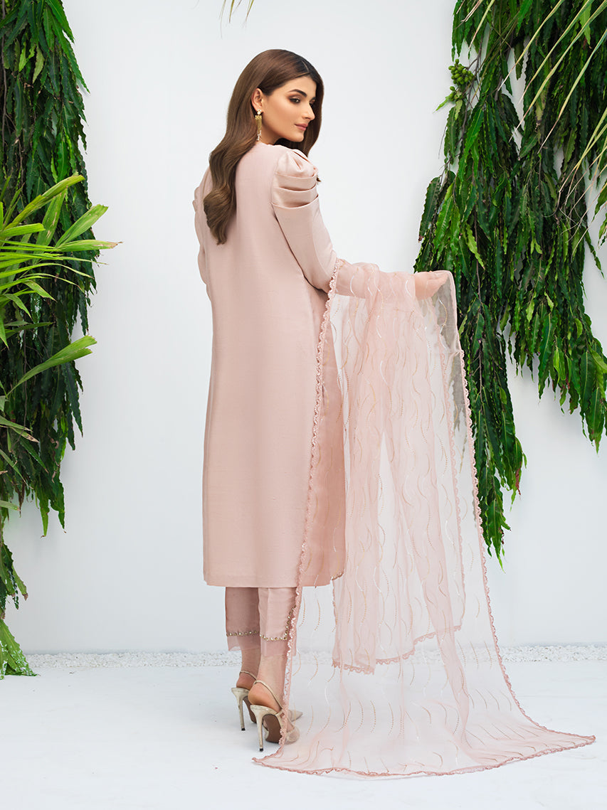 Anam Akhlaq | Festive Collection | D-09 - House of Zarish