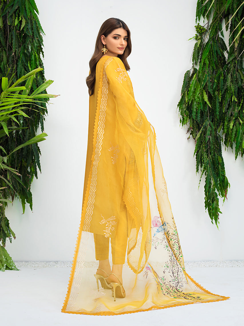 Anam Akhlaq | Festive Collection | D-10 - House of Zarish