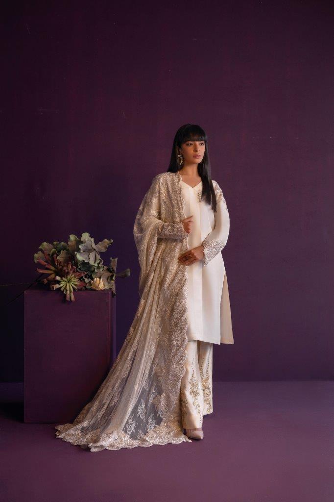 Anam Akhlaq | Festive Collection | D-47 - House of Zarish