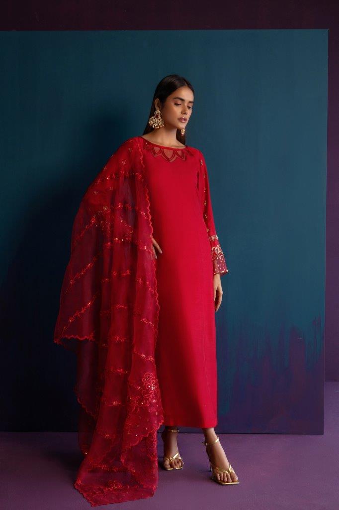 Anam Akhlaq | Festive Collection | D-46 - House of Zarish