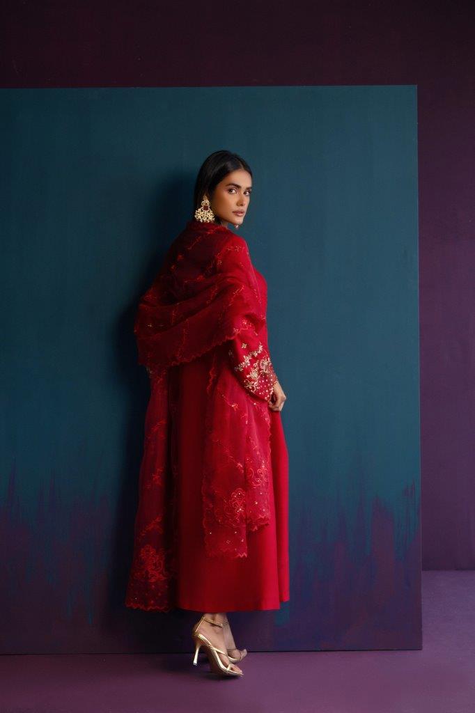 Anam Akhlaq | Festive Collection | D-46 - House of Zarish