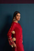 Anam Akhlaq | Festive Collection | D-46 - House of Zarish